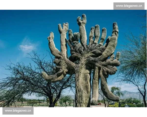仙人掌之国主场奇幻探秘与文化风情全景体验